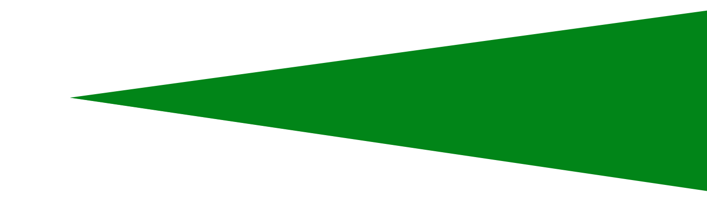 green-bold-triangle